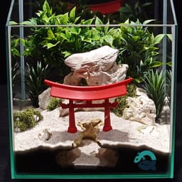 Torii Gate Aquarium Hide – Japanese Zen Shrine Fish, Shrimp, Reptile, Spider, Amphibian Tank Decor 3d model