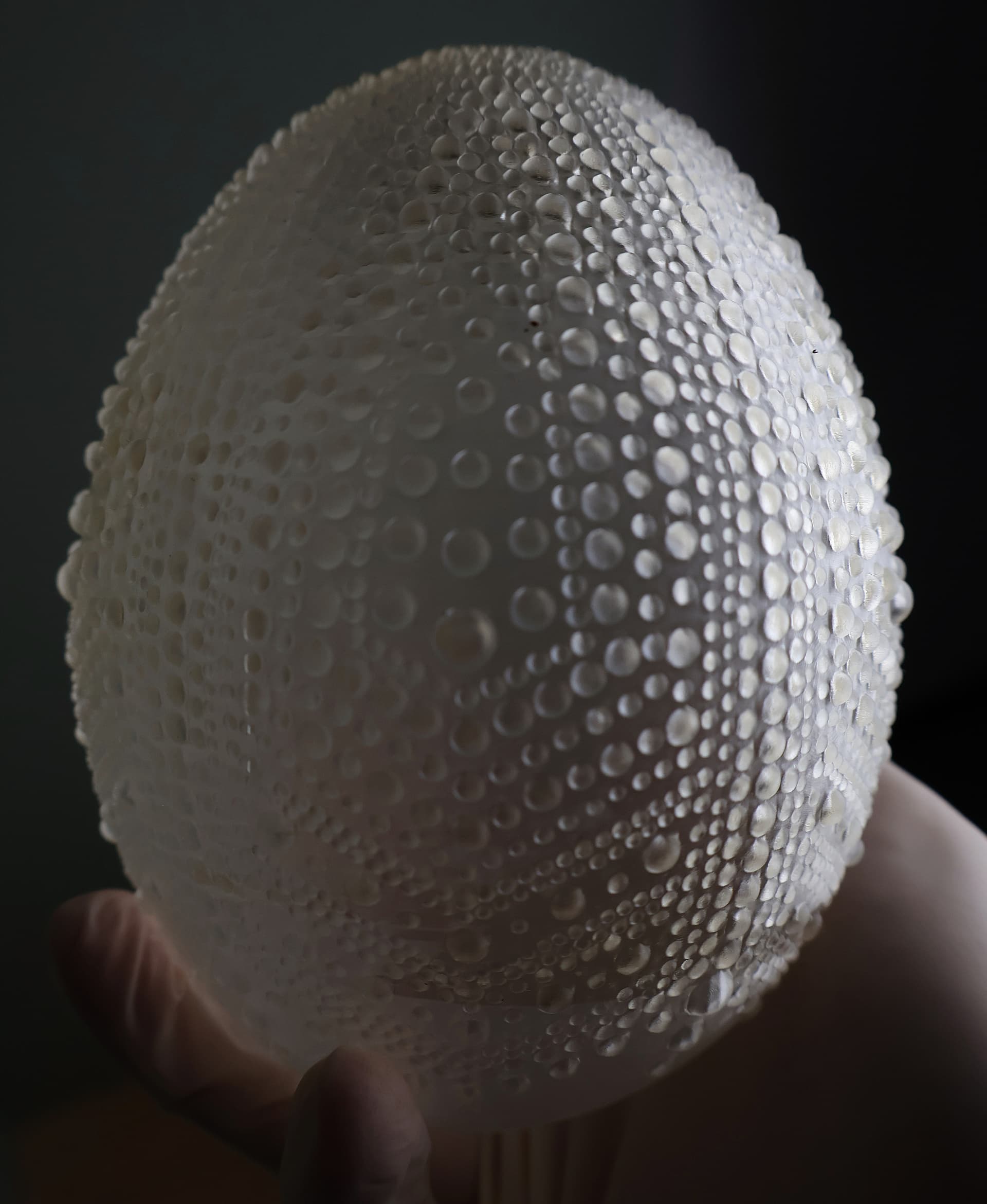 Resin printed in Phrozen Aqua Cear