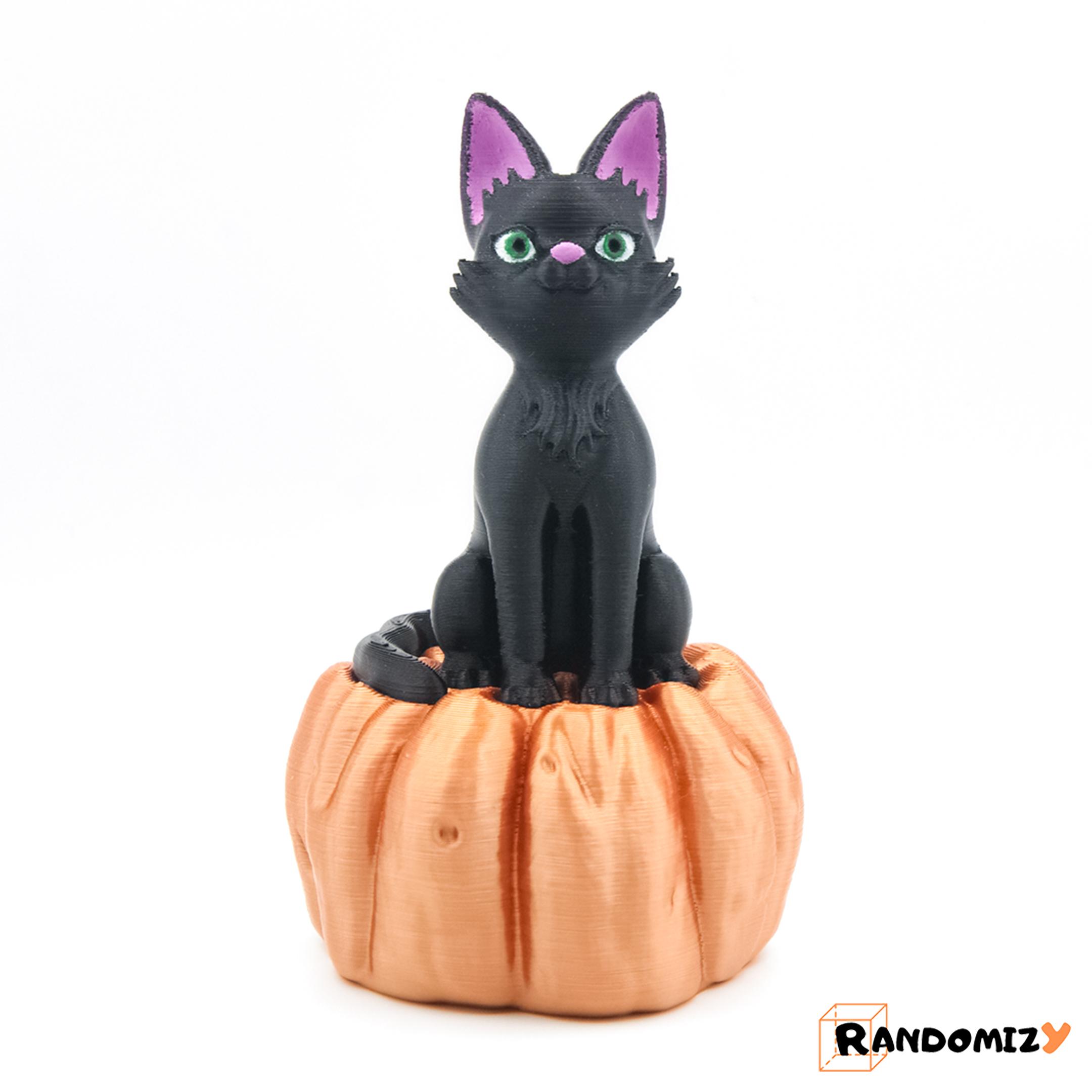 Cat on a Pumpkin 3d model