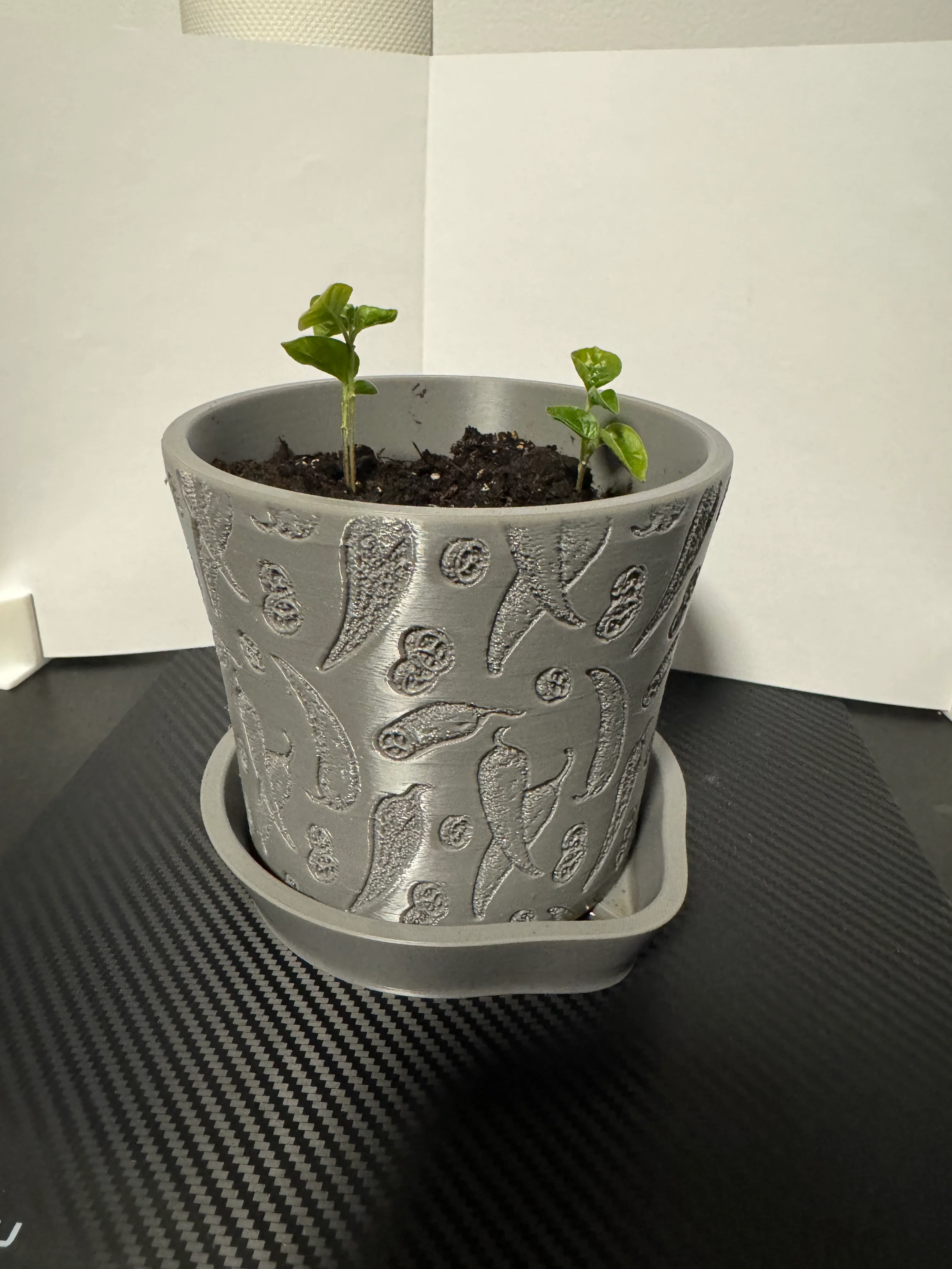 Plant Pot 3d model