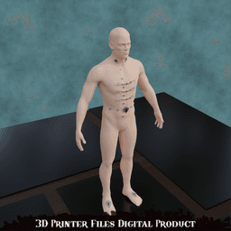 Fantasy Astarion Ascendant Cosplay Outfit Accessories Baldurs Gate 3 3d model