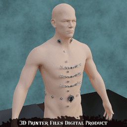 Fantasy Astarion Ascendant Cosplay Outfit Accessories Baldurs Gate 3 3d model