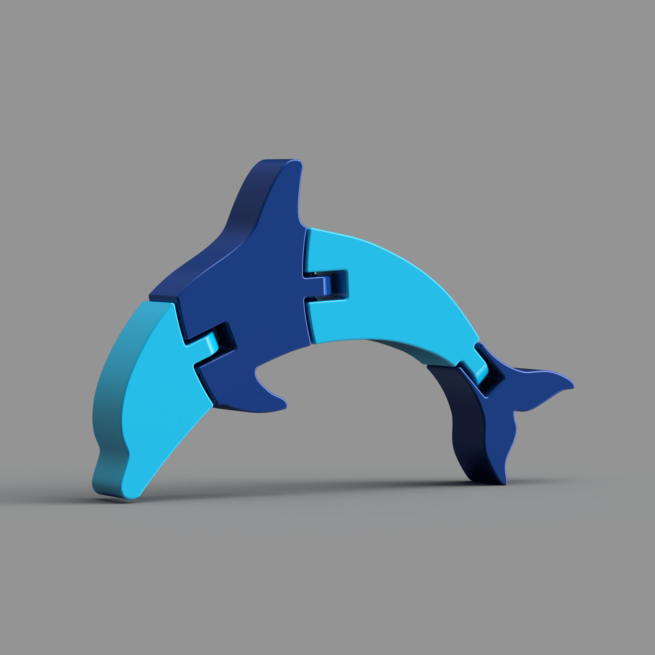Articulated Dolphin 3d model