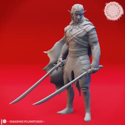Eclipse of Drow - Tabletop Miniatures (Pre-Supported) 3d model