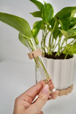 TWINIA V2 - minimalist planter with propagation tube holder.3mf 3d model