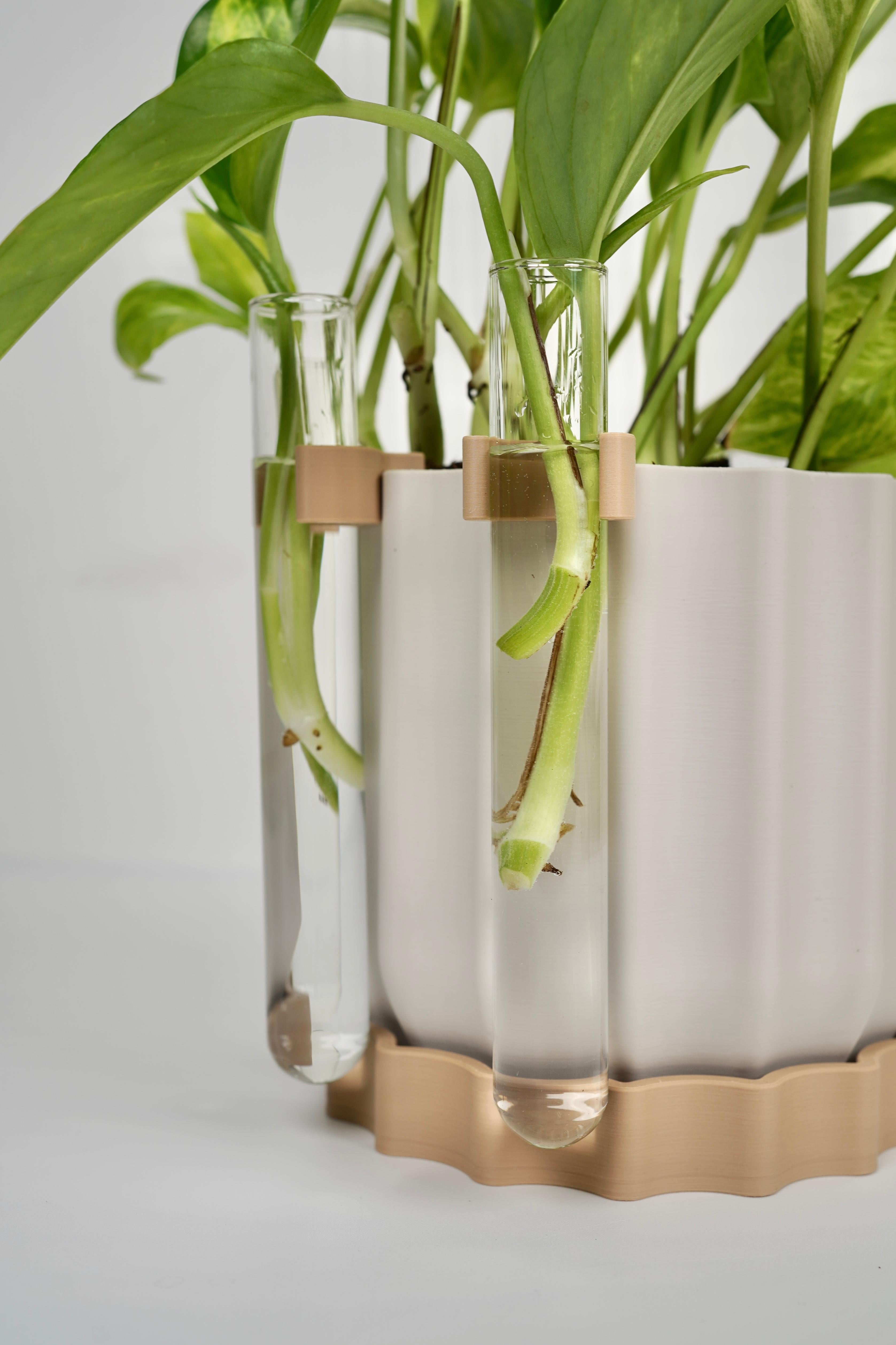 TWINIA V2 - minimalist planter with propagation tube holder.3mf 3d model