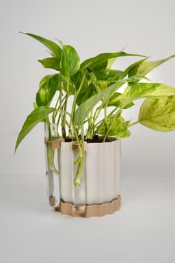 TWINIA V2 - minimalist planter with propagation tube holder.3mf 3d model