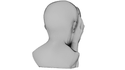 Fragmented Mind 3d model