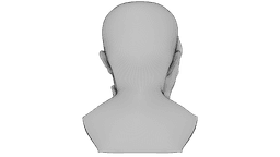 Fragmented Mind 3d model