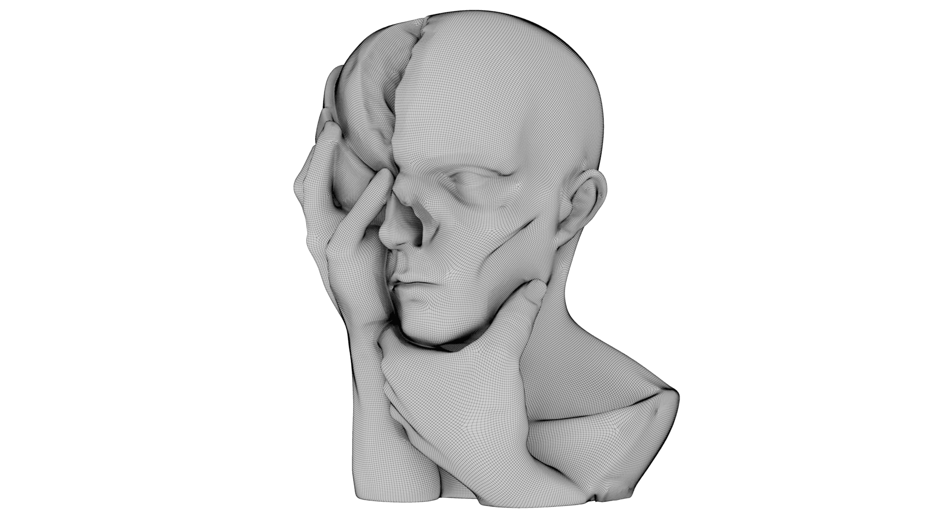 Fragmented Mind 3d model