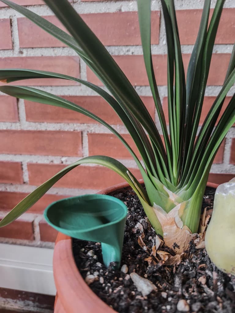Self-Watering 3d model