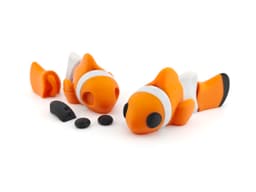 Clownfish 3d model