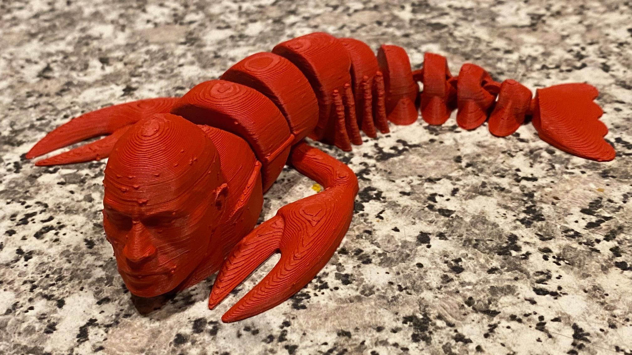 The Rock Lobster - So many zits! But I got an eye roll from my wife, so mission accomplished. - 3d model