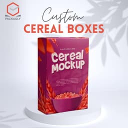 Custom Food Packaging Boxes 3d model