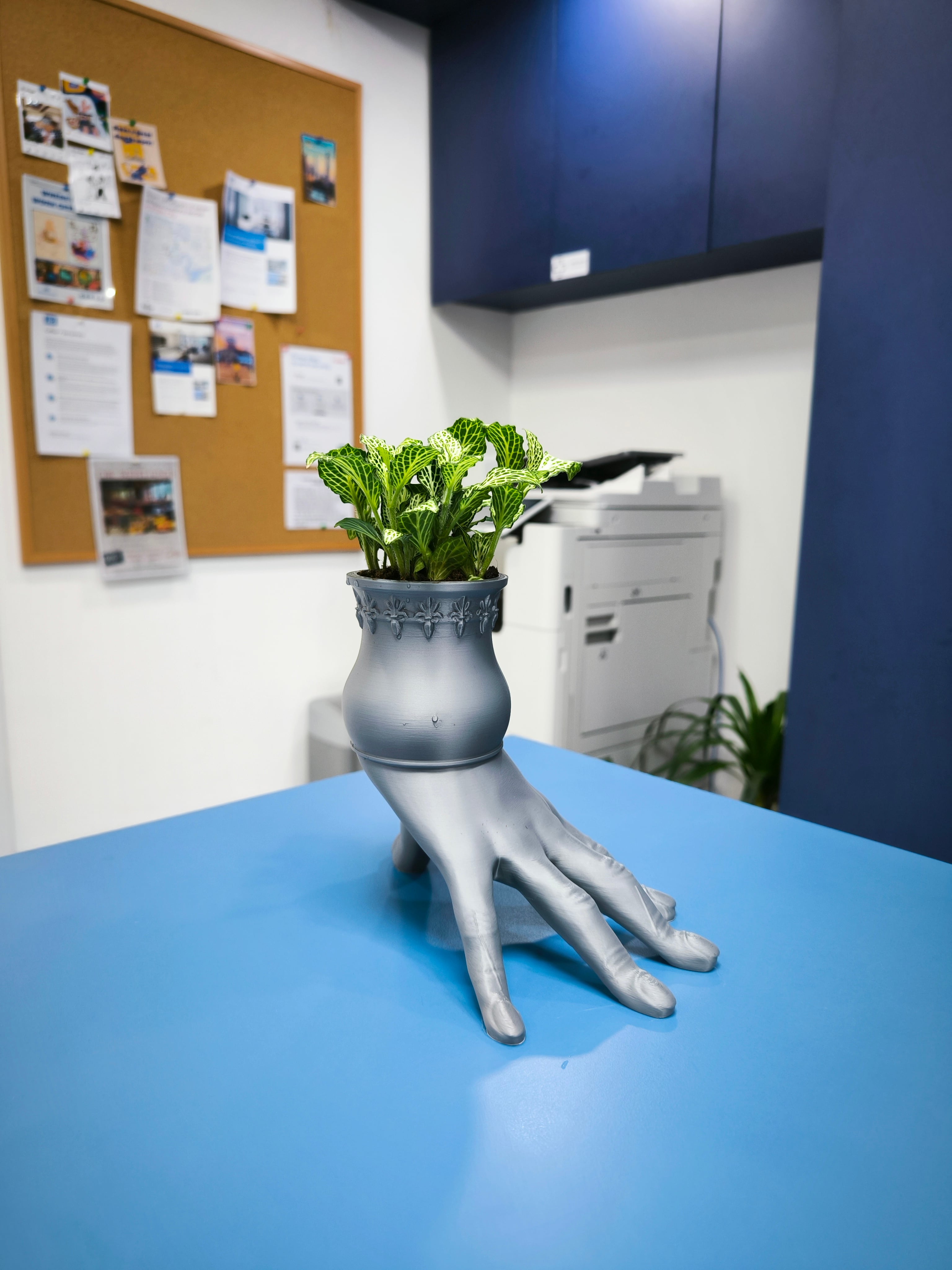 Hand Potted Plant 3d model