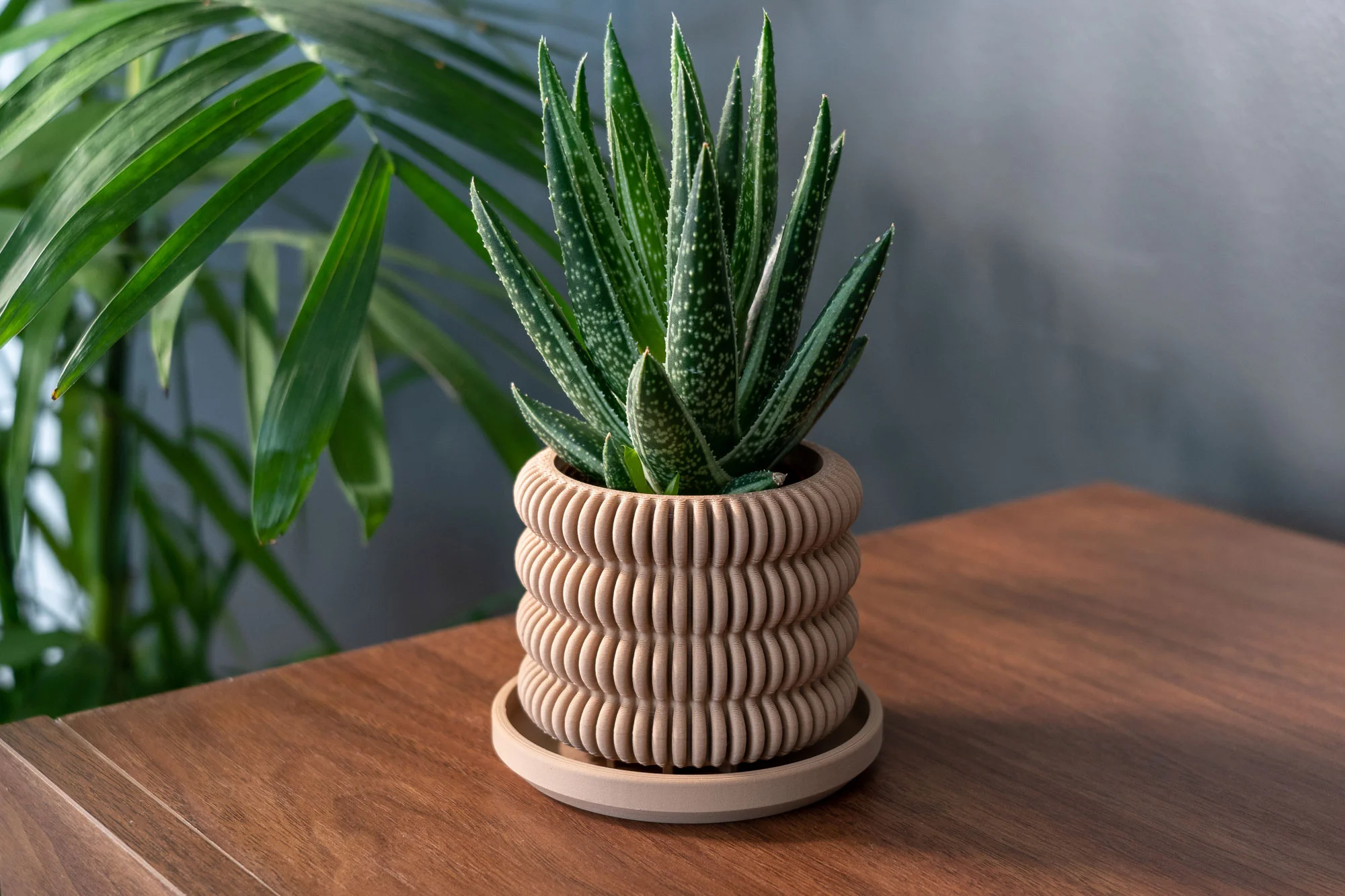 Planter with Drip Tray - The Clifton 3d model