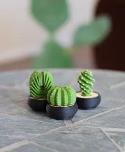 Spinny Succulents - Pack III 3d model