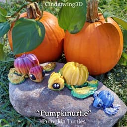 Pumpkinurtle 3d model
