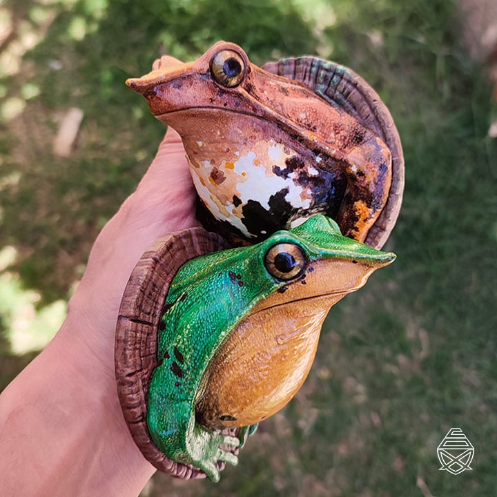 Darwin Wall Frog 3d model