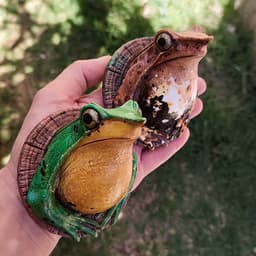 Darwin Wall Frog 3d model