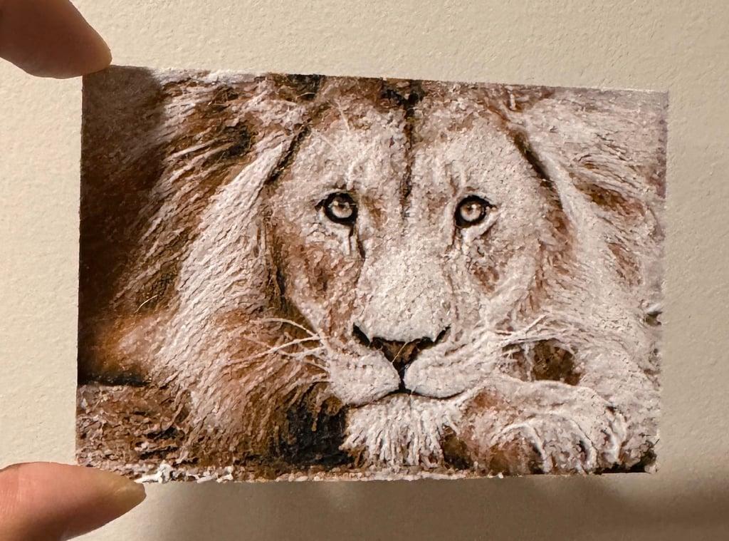 Lion (Realism) - Hueforge Print 3d model