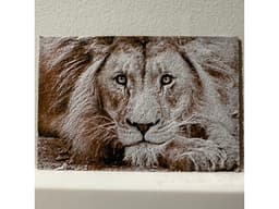 Lion (Realism) - Hueforge Print 3d model