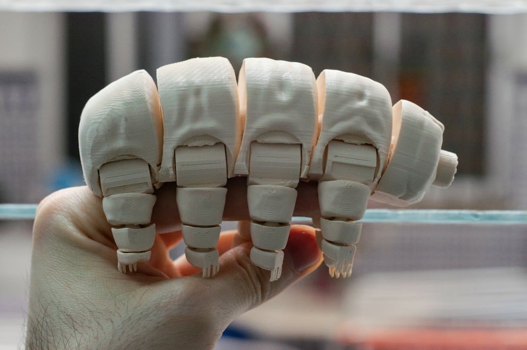 Articulated Tardigrade 3d model
