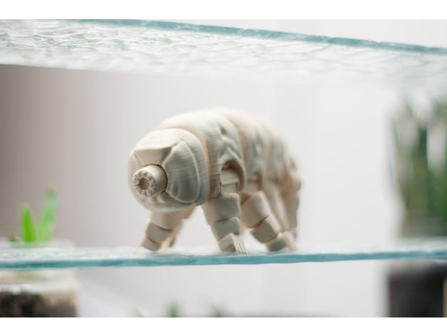 Articulated Tardigrade 3d model