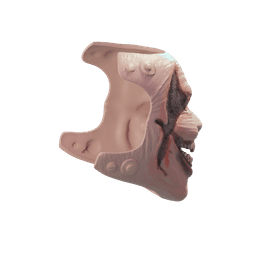 Bray Wyatt Mask 3d model