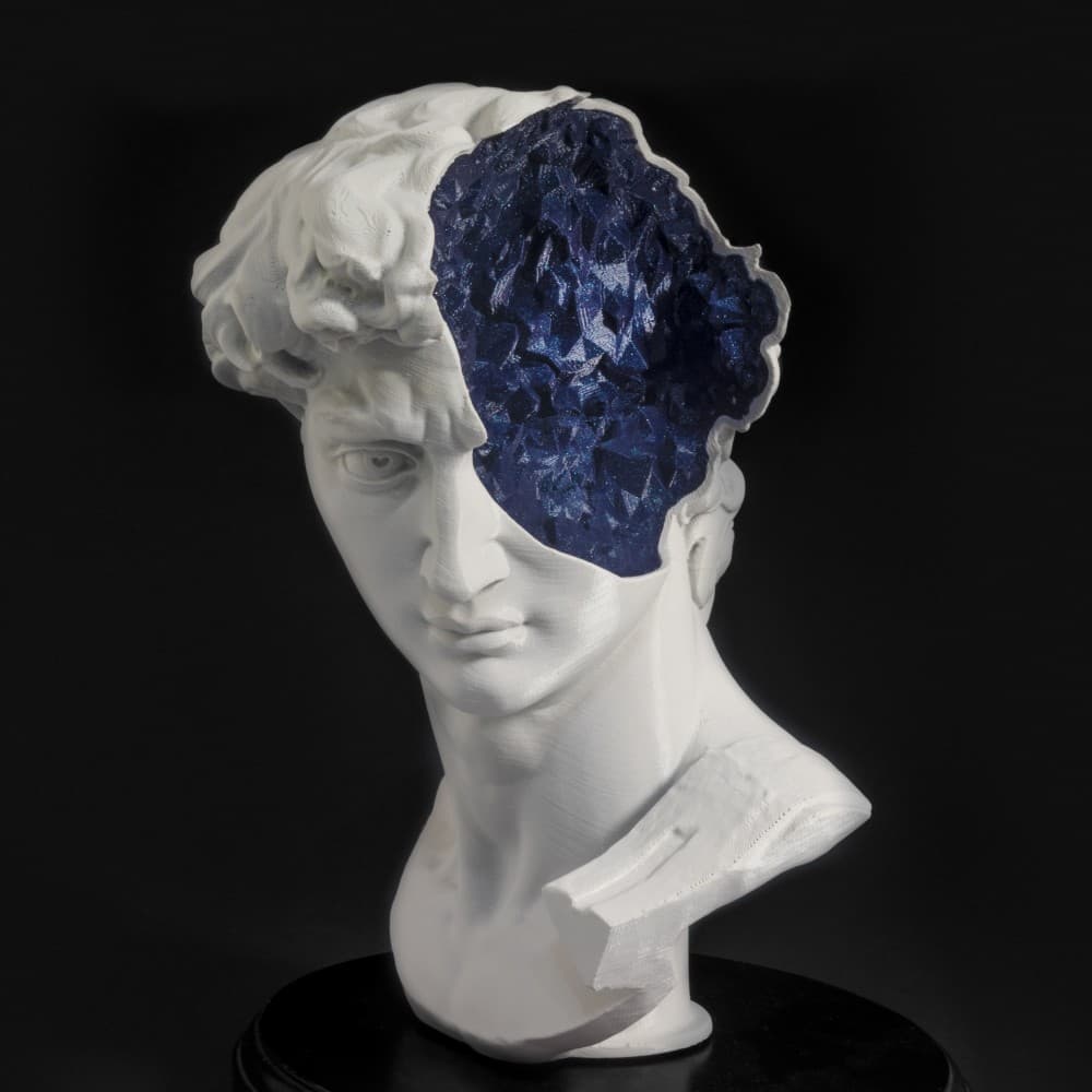 What's in David's Mind? 3d model