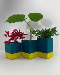 Mini Planters Set With Drainer and Drip Tray 3d model