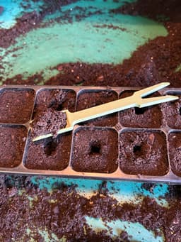 Charles Dowding Seed Tray Tool Kit β Dibber, Tamper, Spork & More 3d model