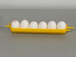 Maticoopx 30 Incubator Tray for Chicken Eggs 3d model