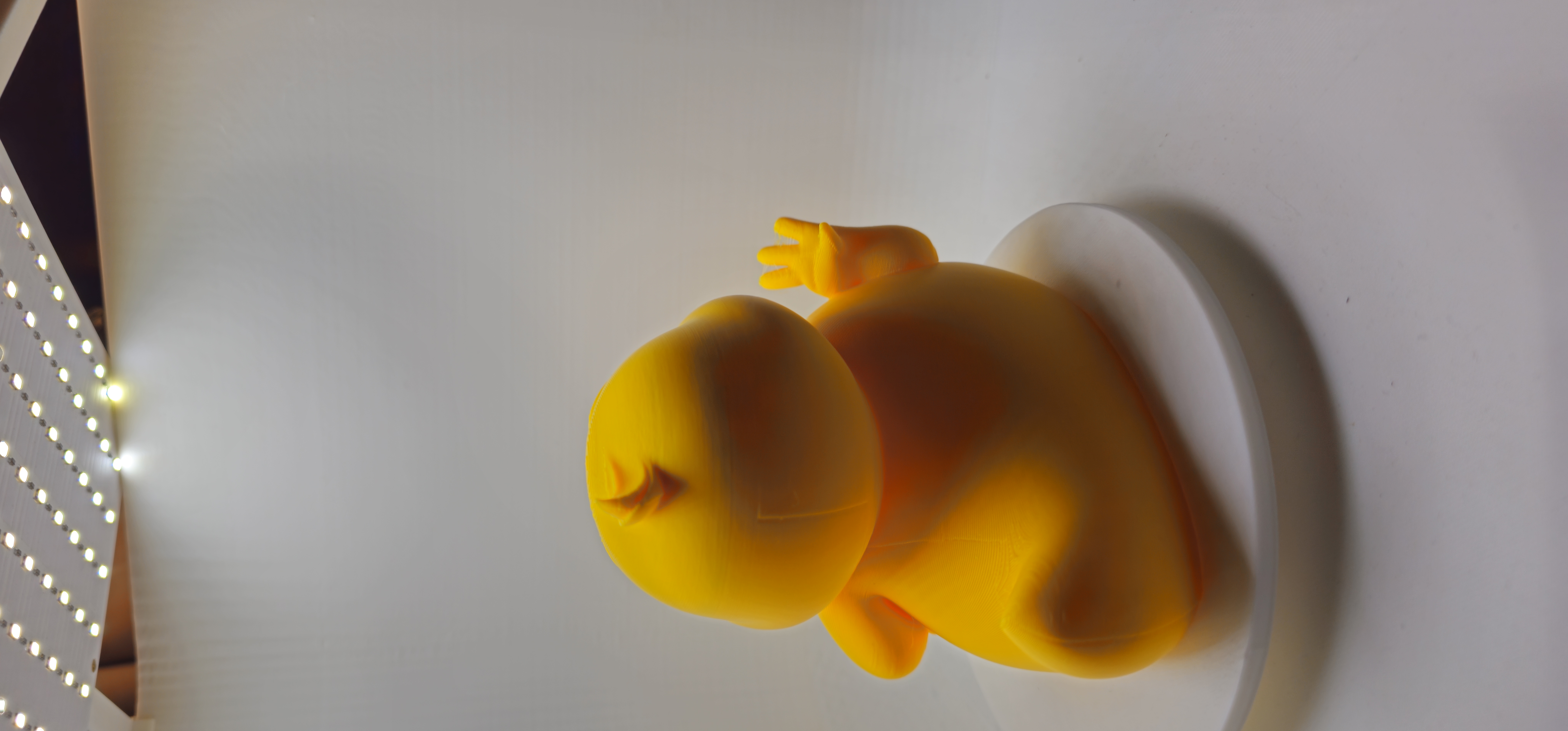 Sassy Duck 3d model