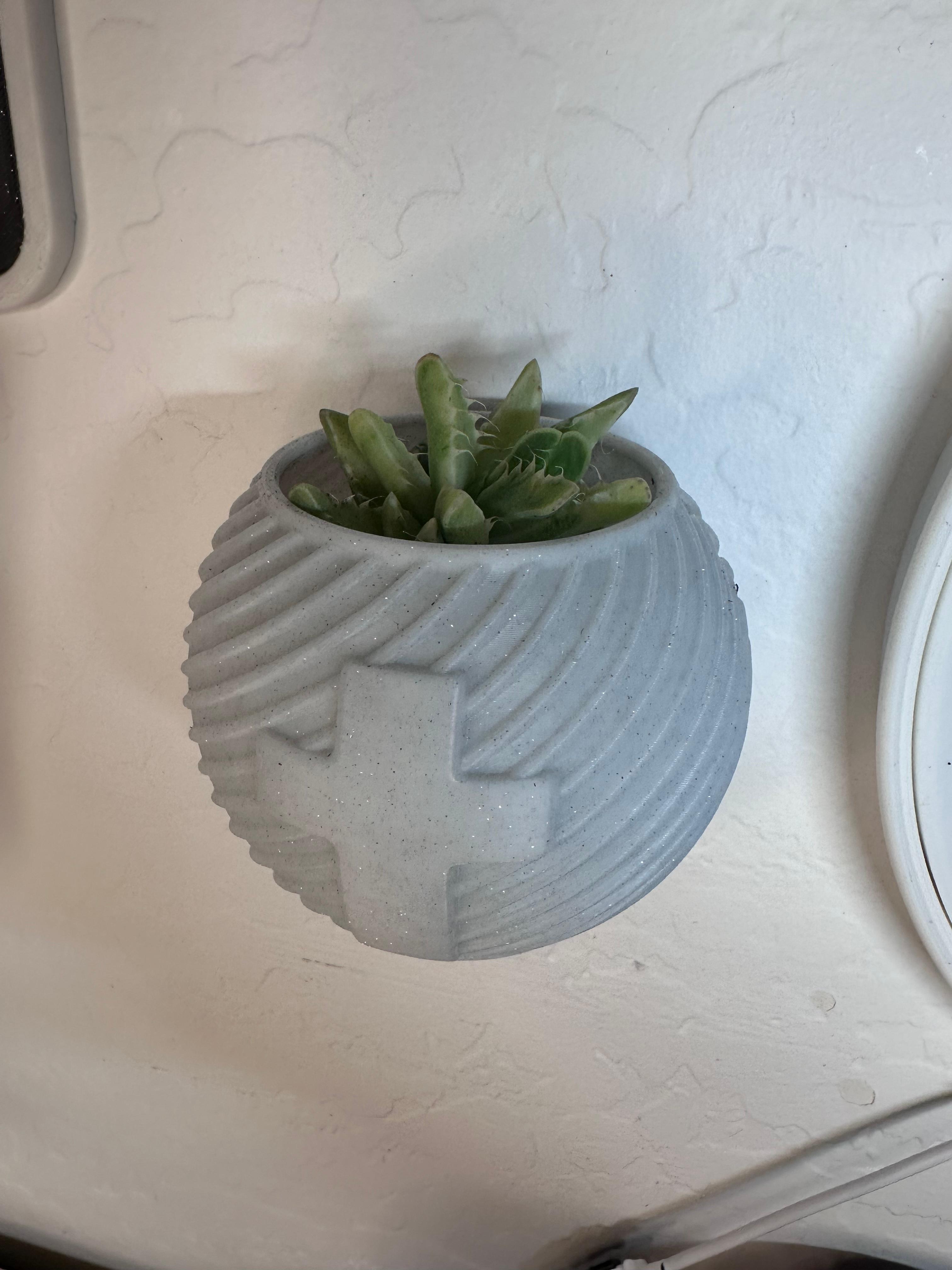 Swirl, Easter, Succulent pot, wall mountable succulent pot for any space 3d model