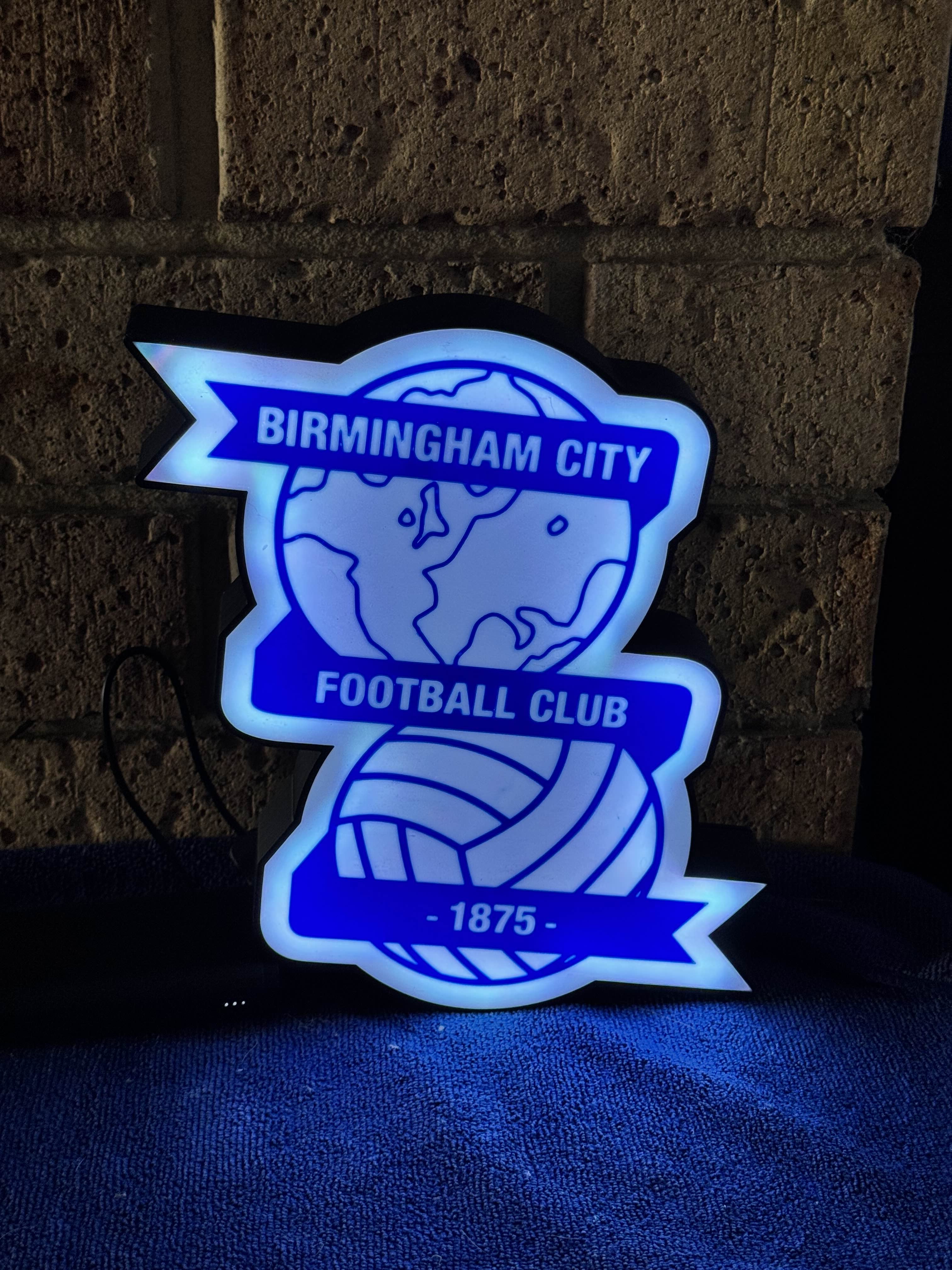 Birmingham Football club Ligh Box 3d model