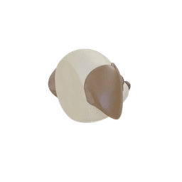 Boop the Snoot Puppy Clicker 3d model