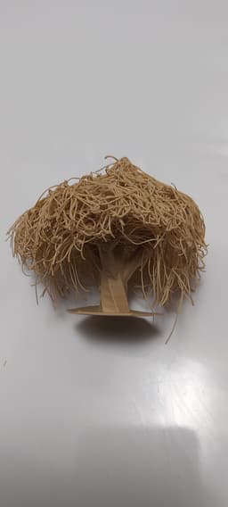 Willow Tree Hairify 3d model