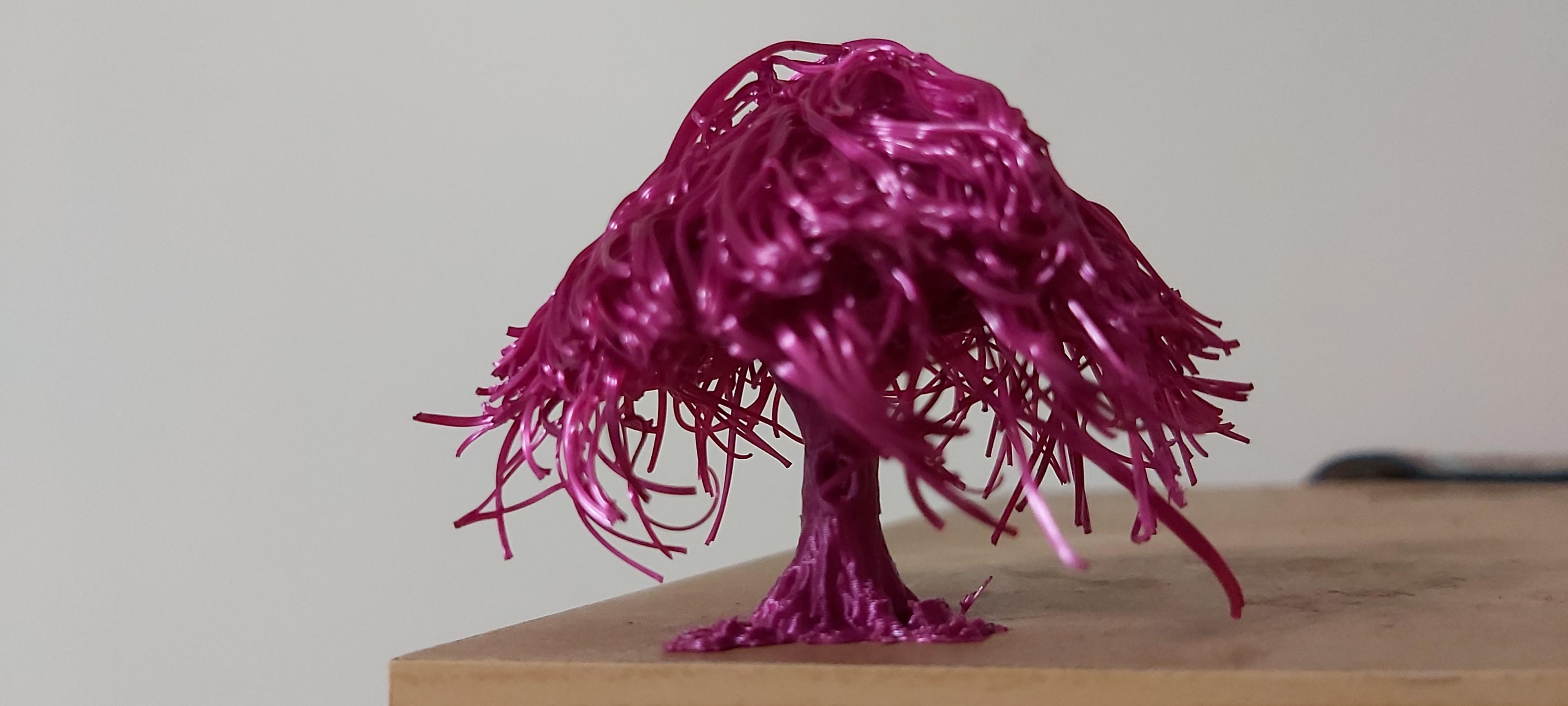 Willow Tree Hairify 3d model