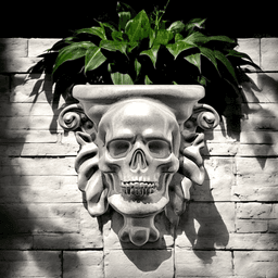 SKULL WALL POT 3d model