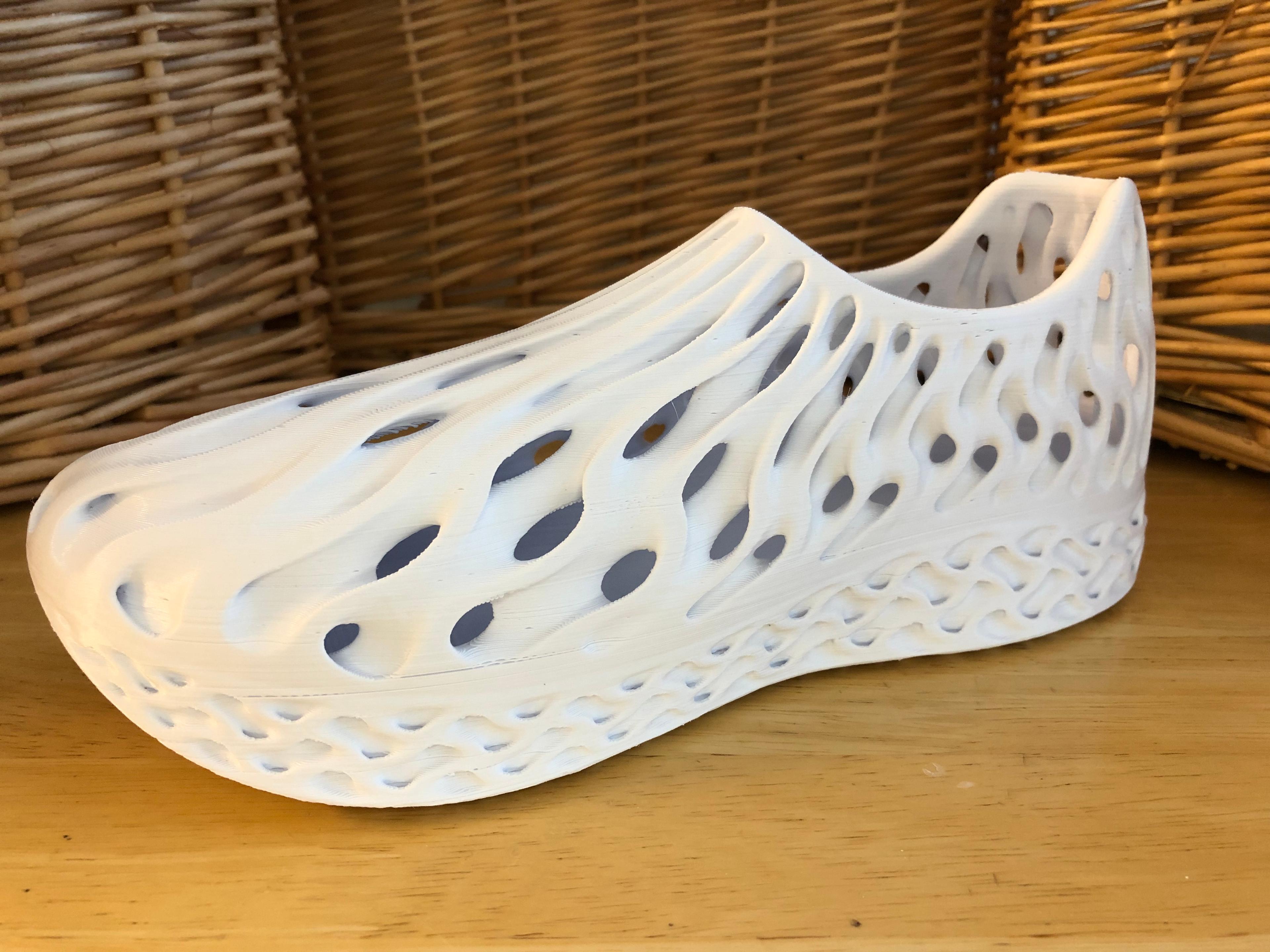 Gyroid Shoe Conceptual Design 3d model