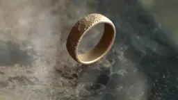 MoonRing 3d model