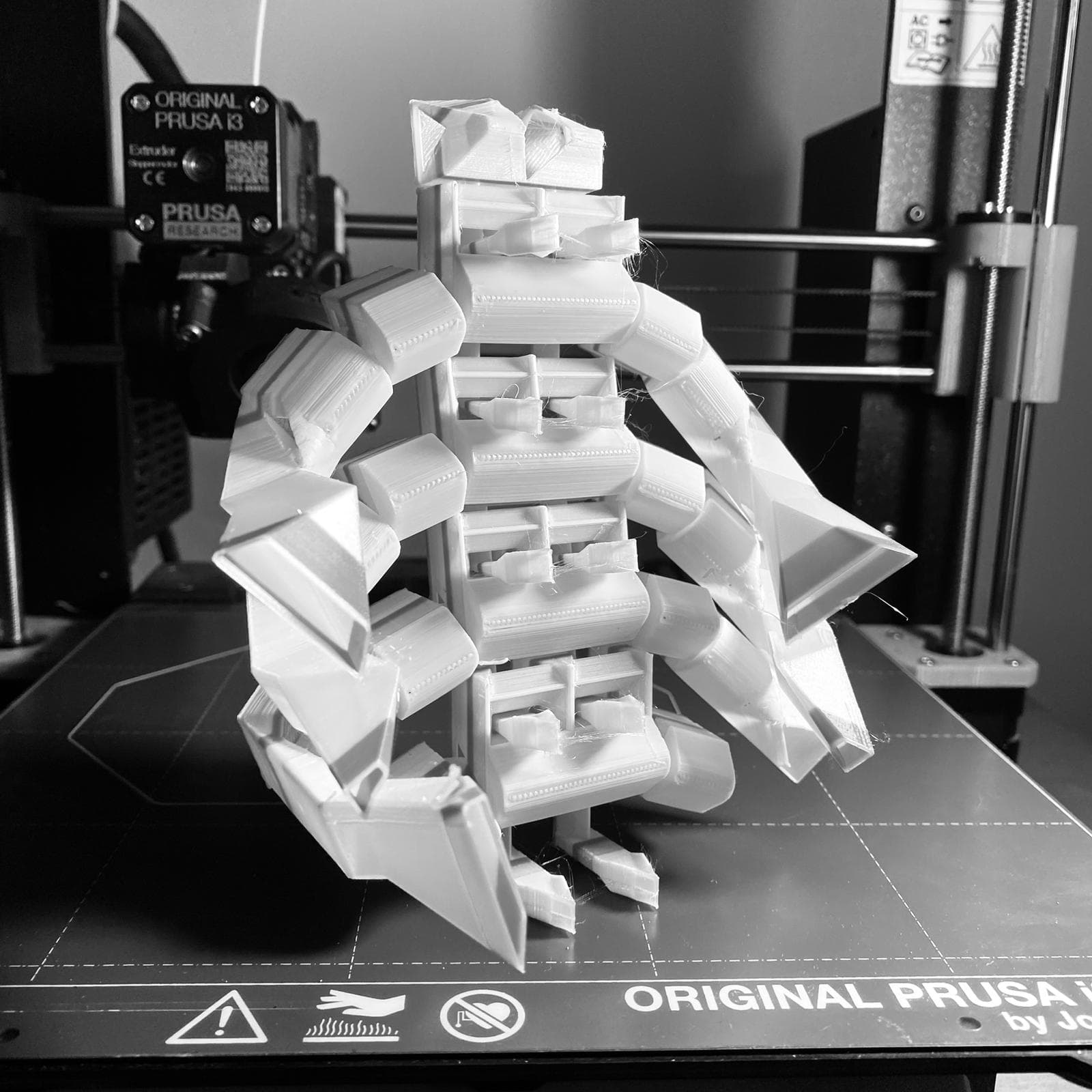 Lizguard Robot 3d model