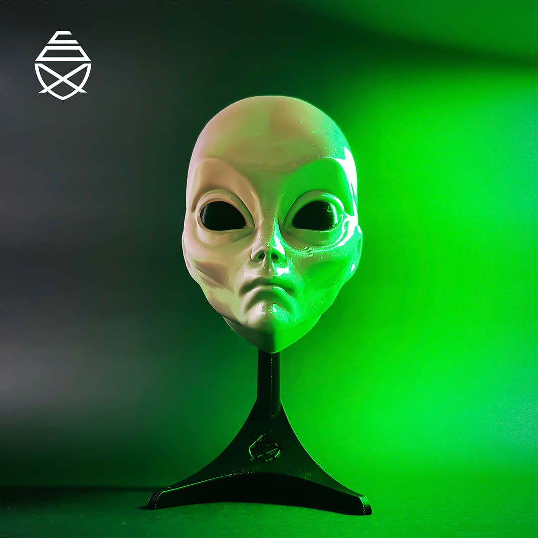 Alien Wall 3d model