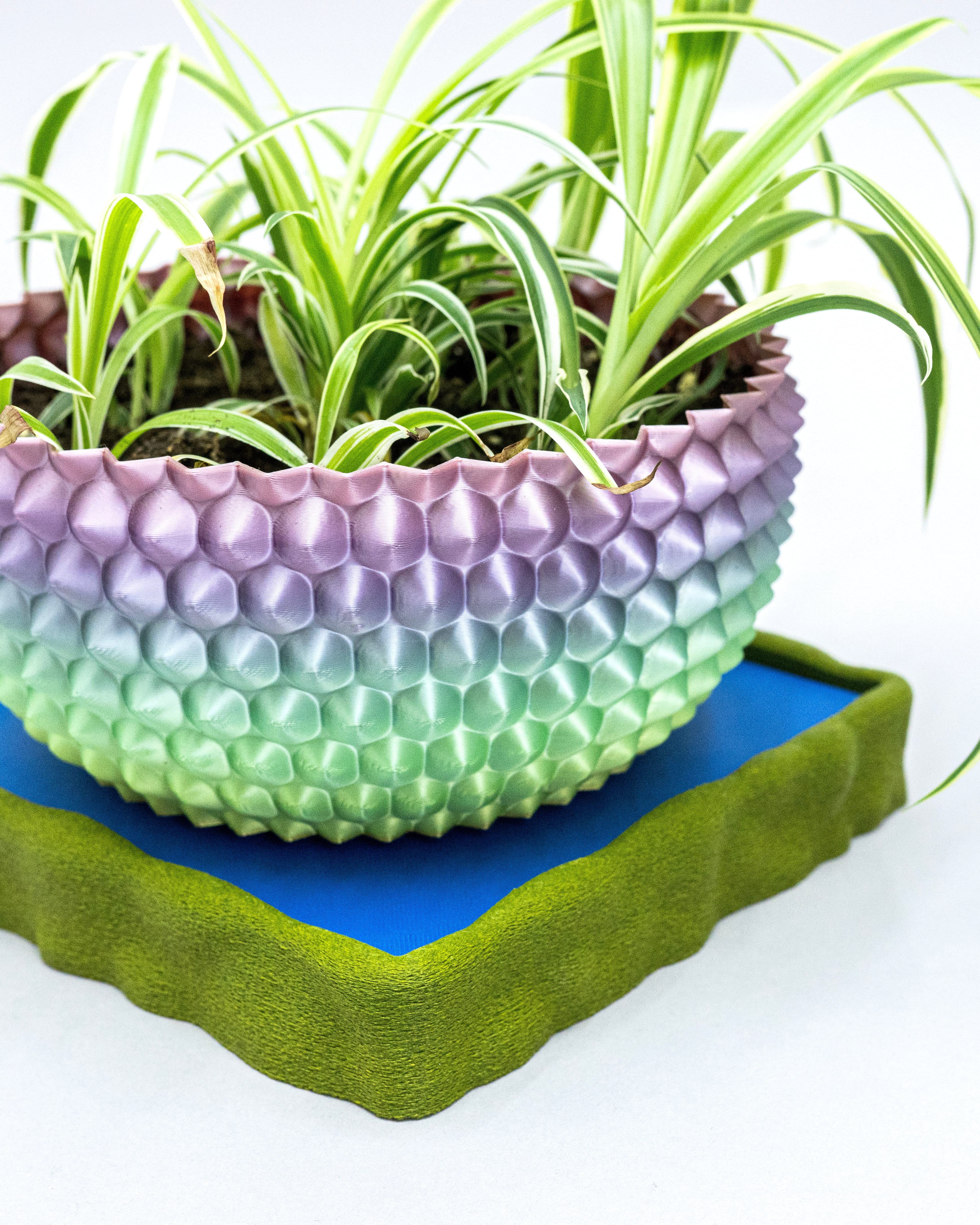 Moss Dish/Frame for 140mm Chunky Block Drip Tray 3d model
