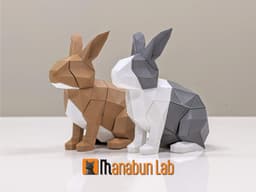 Low Poly Rabbit Magnet Puzzle (No supports, no AMS) 3d model