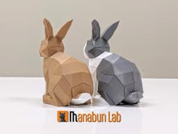 Low Poly Rabbit Magnet Puzzle (No supports, no AMS) 3d model