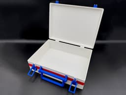 Bleach Case 3d model