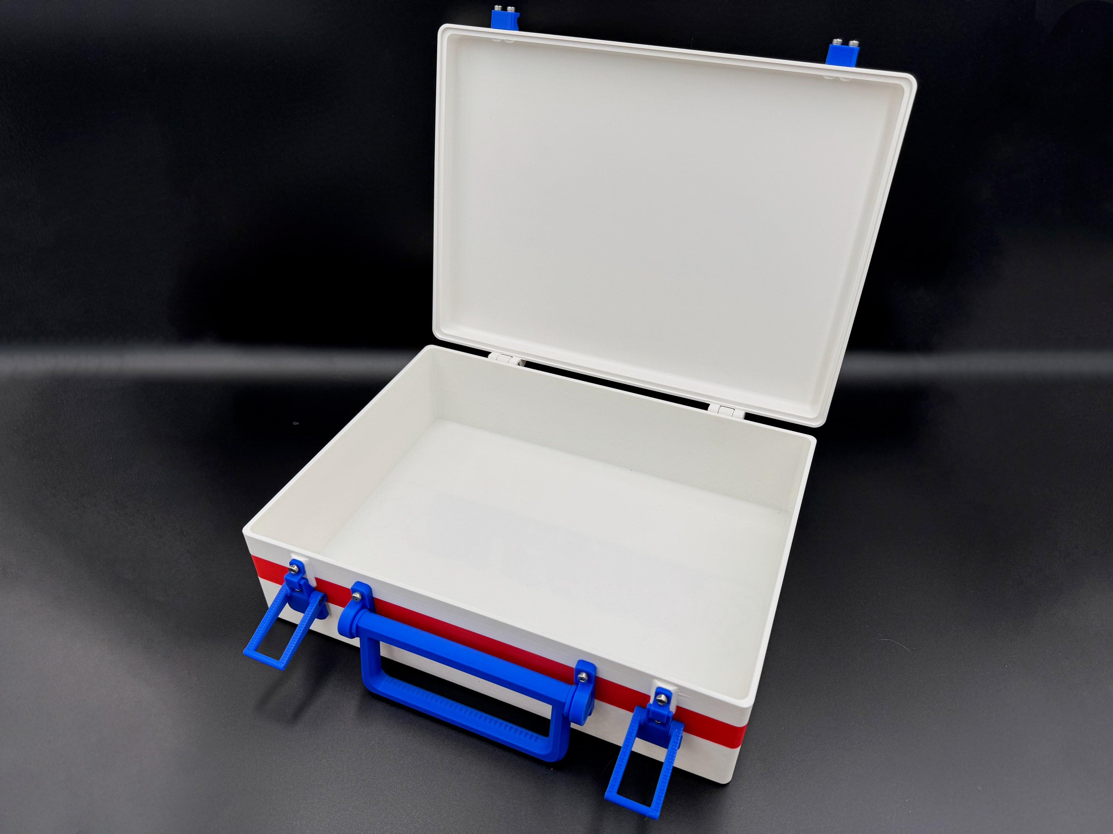 Bleach Case 3d model