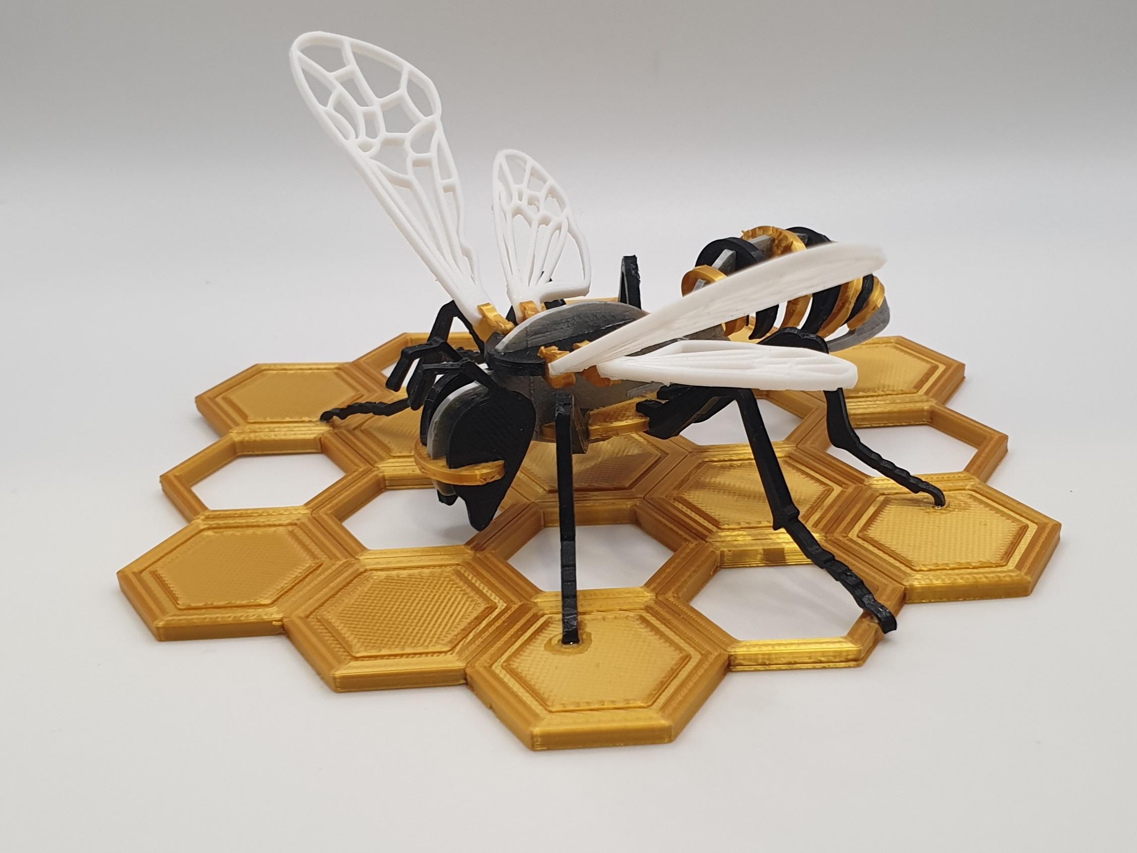 wasp - bee on honeycomb 3d model